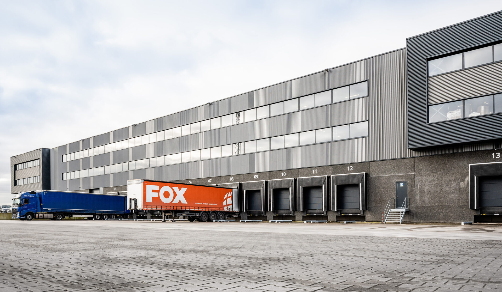 ©lucid_ask_foxgroup_03_low